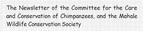 The Newsletter of the Committee for the Care and Conservation of 
Chimpanzees, and the Mahale Wildlife Conservation Society