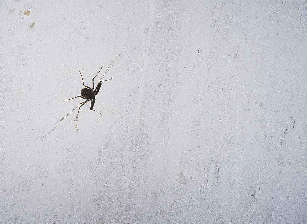 �T�\�����h�L